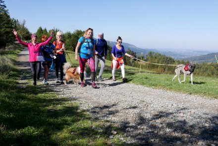 Fragment biegu Pucharu Polski w Dogtrekkingu w Wiśle